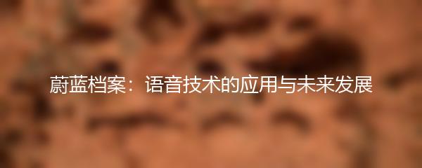 蔚蓝档案：语音技术的应用与未来发展