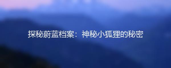 探秘蔚蓝档案：神秘小狐狸的秘密