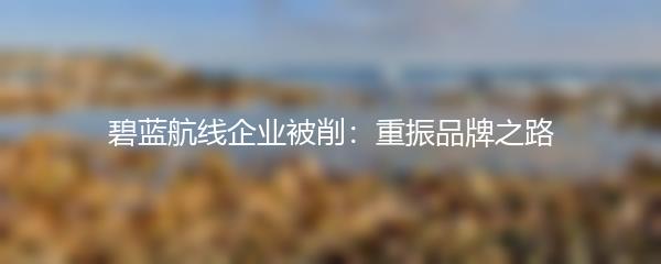 碧蓝航线企业被削：重振品牌之路