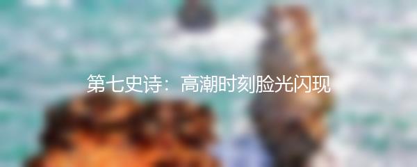 第七史诗：高潮时刻脸光闪现