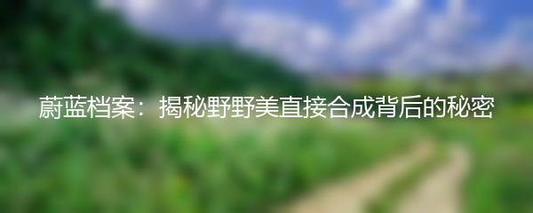 蔚蓝档案：揭秘野野美直接合成背后的秘密