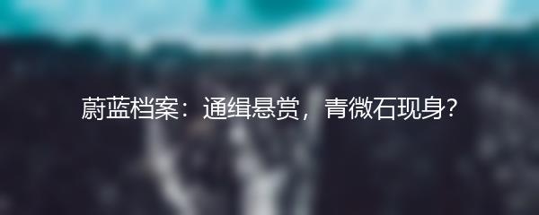 蔚蓝档案：通缉悬赏，青微石现身？