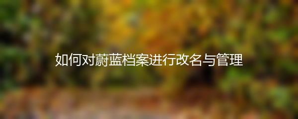 如何对蔚蓝档案进行改名与管理