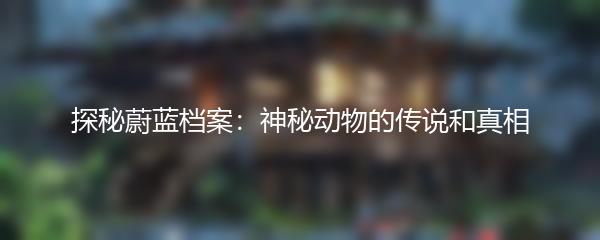 探秘蔚蓝档案：神秘动物的传说和真相