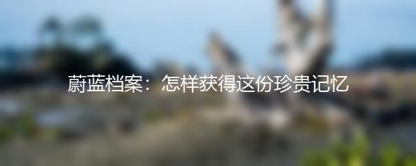 蔚蓝档案：怎样获得这份珍贵记忆