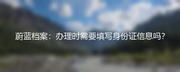 蔚蓝档案：办理时需要填写身份证信息吗？