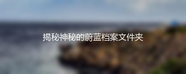 揭秘神秘的蔚蓝档案文件夹