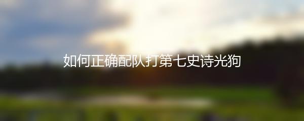 如何正确配队打第七史诗光狗
