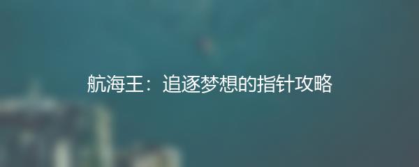航海王：追逐梦想的指针攻略
