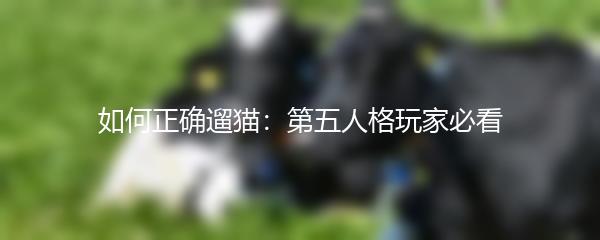 如何正确遛猫：第五人格玩家必看