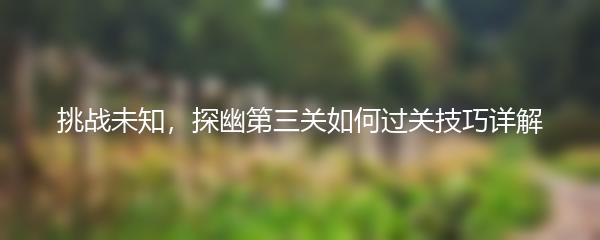挑战未知，探幽第三关如何过关技巧详解