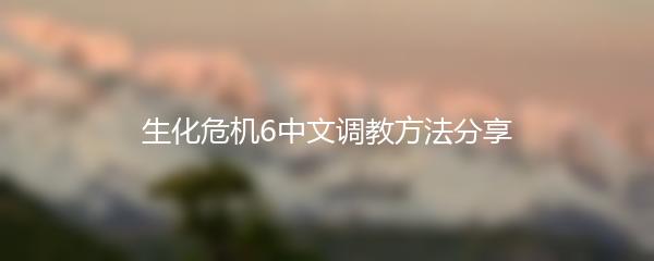 生化危机6中文调教方法分享
