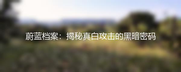 蔚蓝档案：揭秘真白攻击的黑暗密码
