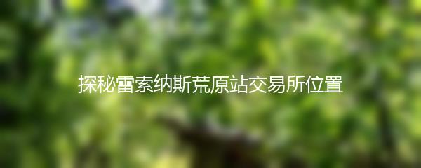 探秘雷索纳斯荒原站交易所位置