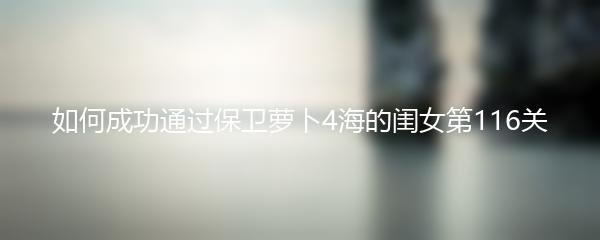 如何成功通过保卫萝卜4海的闺女第116关