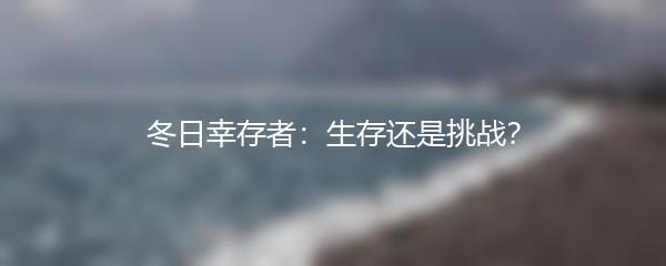 冬日幸存者：生存还是挑战？