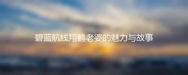 碧蓝航线翔鹤老婆的魅力与故事