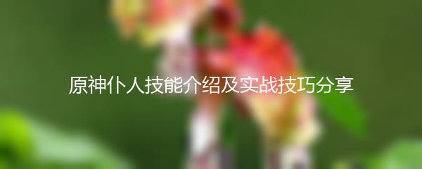 原神仆人技能介绍及实战技巧分享