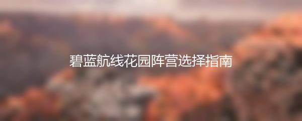 碧蓝航线花园阵营选择指南