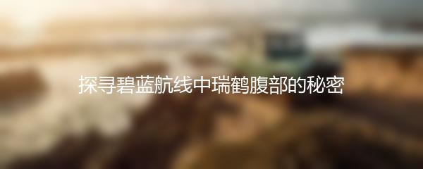 探寻碧蓝航线中瑞鹤腹部的秘密