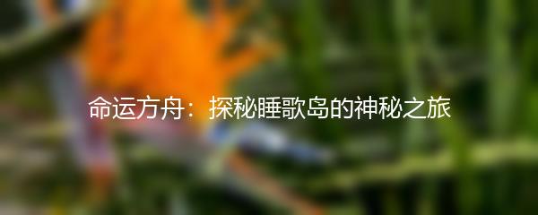  命运方舟：探秘睡歌岛的神秘之旅 