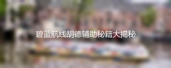 碧蓝航线胡德辅助秘籍大揭秘