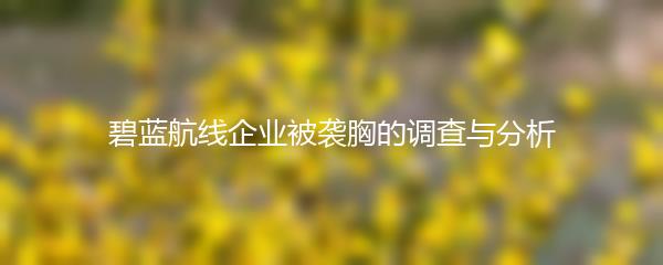 碧蓝航线企业被袭胸的调查与分析