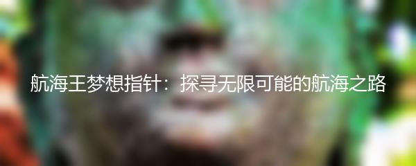 航海王梦想指针：探寻无限可能的航海之路
