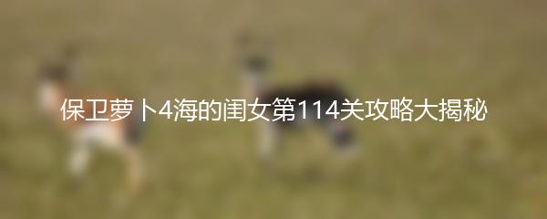 保卫萝卜4海的闺女第114关攻略大揭秘