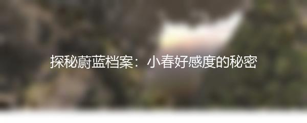 探秘蔚蓝档案：小春好感度的秘密