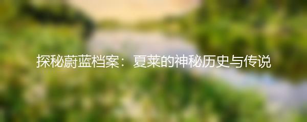 探秘蔚蓝档案：夏莱的神秘历史与传说