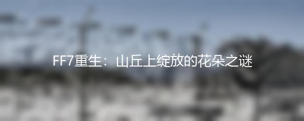 FF7重生：山丘上绽放的花朵之谜