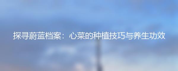 探寻蔚蓝档案：心菜的种植技巧与养生功效