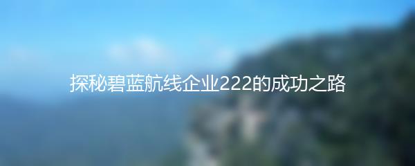 探秘碧蓝航线企业222的成功之路