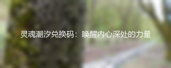灵魂潮汐兑换码：唤醒内心深处的力量