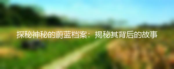 探秘神秘的蔚蓝档案：揭秘其背后的故事