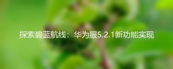 探索碧蓝航线：华为服5.2.1新功能实现