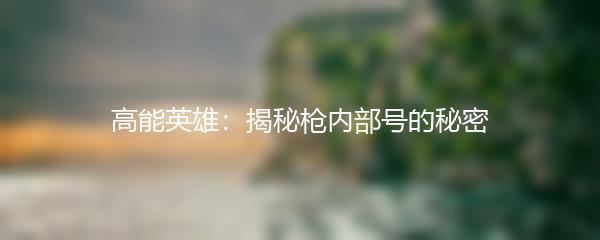 高能英雄：揭秘枪内部号的秘密