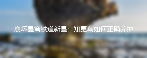 崩坏星穹铁道新星：知更鸟如何正确养护