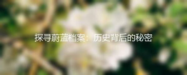 探寻蔚蓝档案：历史背后的秘密