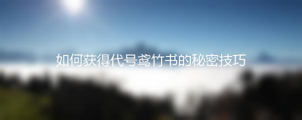 如何获得代号鸢竹书的秘密技巧
