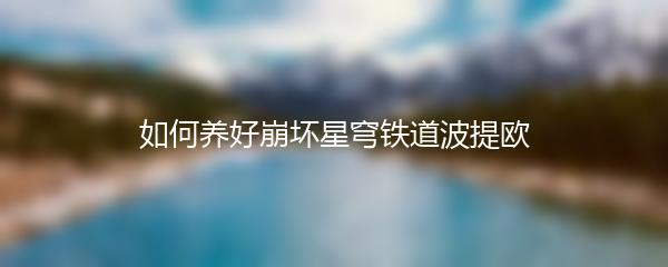 如何养好崩坏星穹铁道波提欧