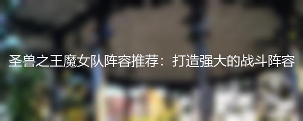 圣兽之王魔女队阵容推荐：打造强大的战斗阵容