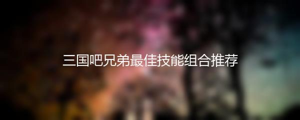 三国吧兄弟最佳技能组合推荐