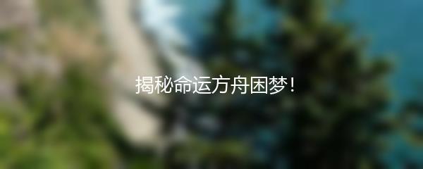  揭秘命运方舟困梦！