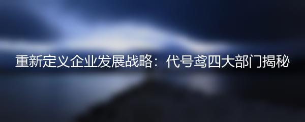 重新定义企业发展战略：代号鸢四大部门揭秘