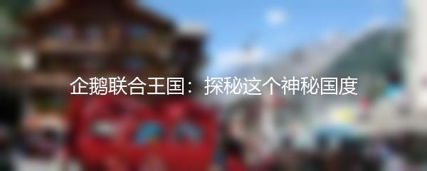 企鹅联合王国：探秘这个神秘国度