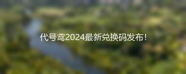 代号鸢2024最新兑换码发布！