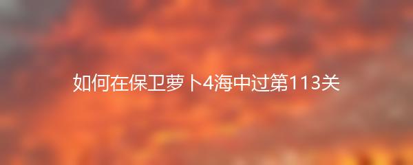 如何在保卫萝卜4海中过第113关