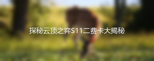 探秘云顶之弈S11二费卡大揭秘